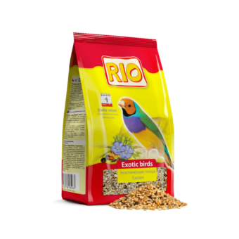 Rio Parrot